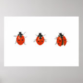 Drie vogelsoorten 2013 poster (Voorkant)