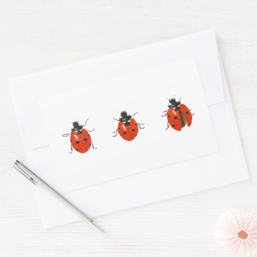 Drie vogelsoorten 2013 rechthoekige sticker (Envelop)