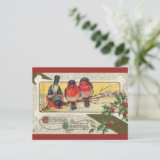  drie vogelsoorten en kerstHolly Briefkaart (Staand voorkant)