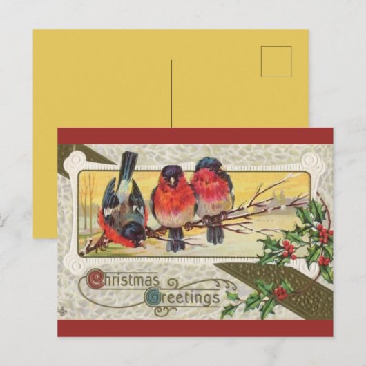 drie vogelsoorten en kerstHolly Briefkaart (Voorkant / Achterkant)