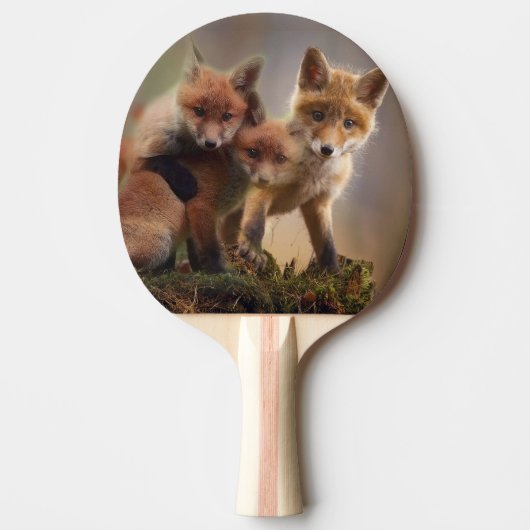 Drie Vosjes Tafeltennisbatje (Voorkant)