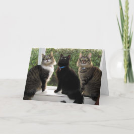 Drie vrienden "Tijd voor taart" Verjaardag Kaart