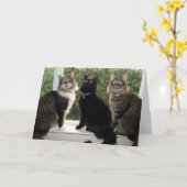 Drie vrienden "Tijd voor taart" Verjaardag Kaart (Gele Bloem)