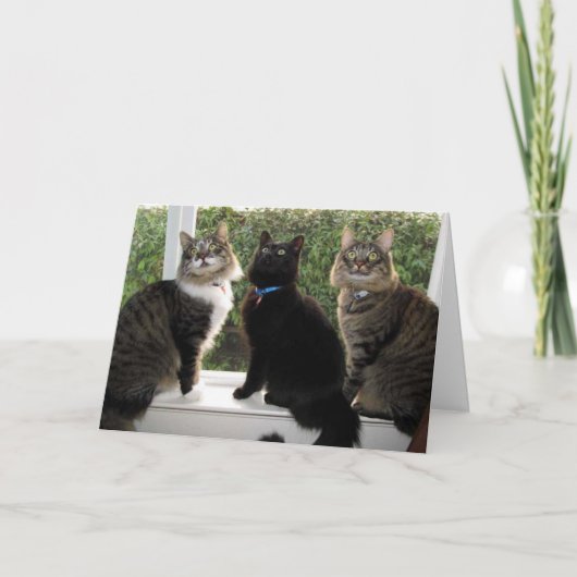 Drie vrienden "Tijd voor taart" Verjaardag Kaart (Voorkant)