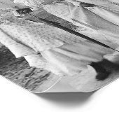 Drie vrouwen in Marshall Texas Poster (Hoek)