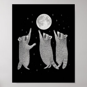 Drie wasberen en maan  wasbeer meme Hallo Poster