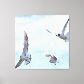 Drie Waterverf zeegarens Canvas Afdruk (Voorkant)