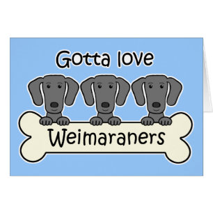 Drie Weimaraners