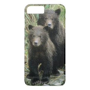 Drie welpjes van de grizzlybeer of coys iPhone 8/7 plus hoesje