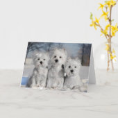 Drie Westies in de sneeuw Kaart (Gele Bloem)