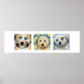 Drie Wheaten Terrier schildert leuke hondenkunst Poster (Voorkant)