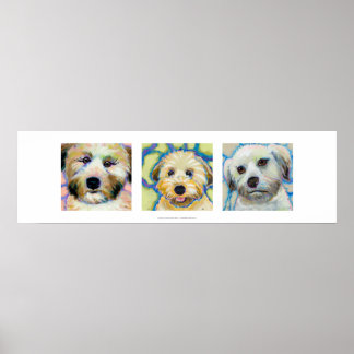 Drie Wheaten Terrier schildert leuke hondenkunst Poster