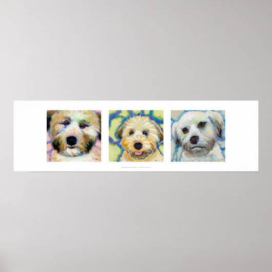 Drie Wheaten Terrier schildert leuke hondenkunst Poster (Voorkant)