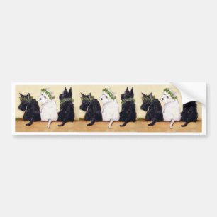 Drie Wijze Terriërs Bumpersticker