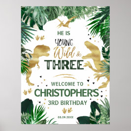 Drie Wild Dinosaur kinderen Birthday Party welkom Poster