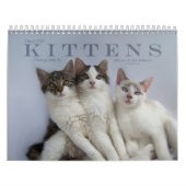 Drie Wild Kittens Kalender (Hoes)