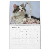 Drie Wild Kittens Kalender (Feb 2027)