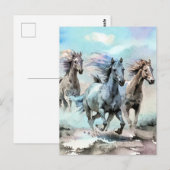 Drie Wilde Mustangs Rennen Over De Vlaktes Briefkaart (Voorkant / Achterkant)