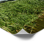 Drie windmolens en een kanaal poster (Hoek)