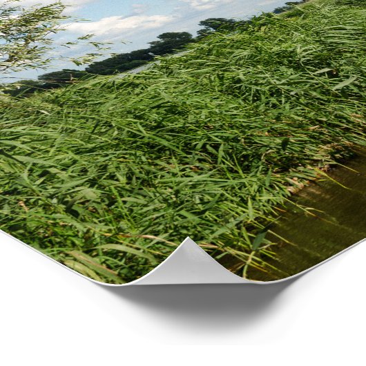 Drie windmolens en een poster van het kanaal (Hoek)