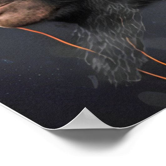 Drie Wise Monkeys Poster (Hoek)