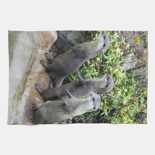 Drie Wise Otters, Tea Towel Theedoek (Horizontaal)