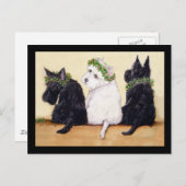 Drie Wise Terriers Briefkaart (Voorkant / Achterkant)