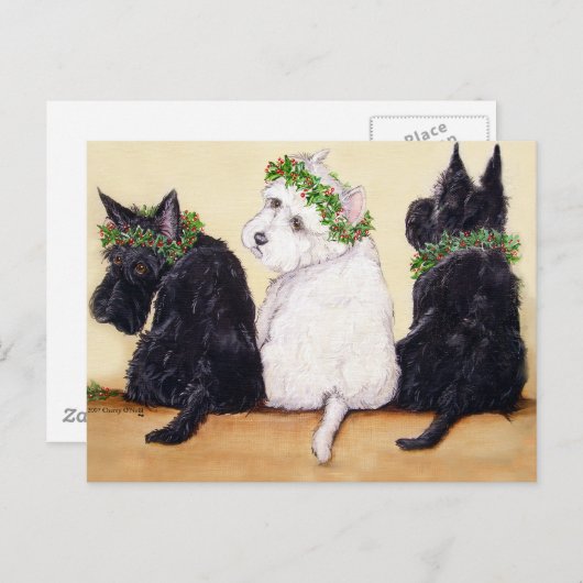 Drie Wise Terriers Briefkaart (Voorkant / Achterkant)