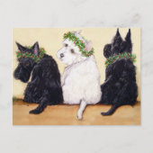 Drie Wise Terriers Briefkaart (Voorkant)