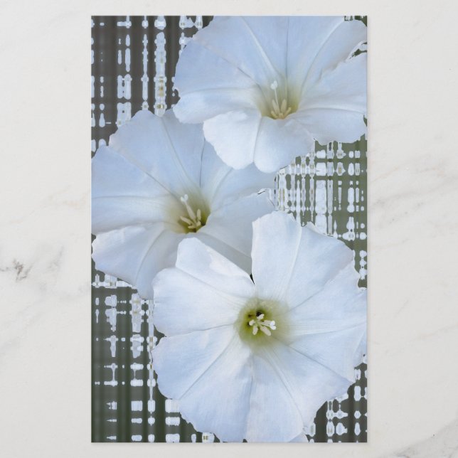 drie witte bloemen (Voorkant)