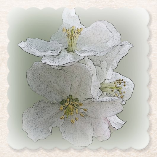 drie witte bloemen kartonnen onderzetters (Voorkant)