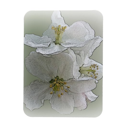 drie witte bloemen magneet (Verticaal)