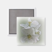 drie witte bloemen magneet (Voorkant / Achterkant)