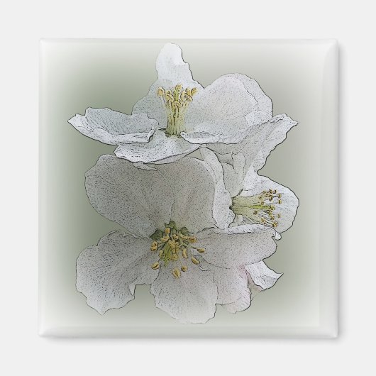 drie witte bloemen magneet (Voorkant)