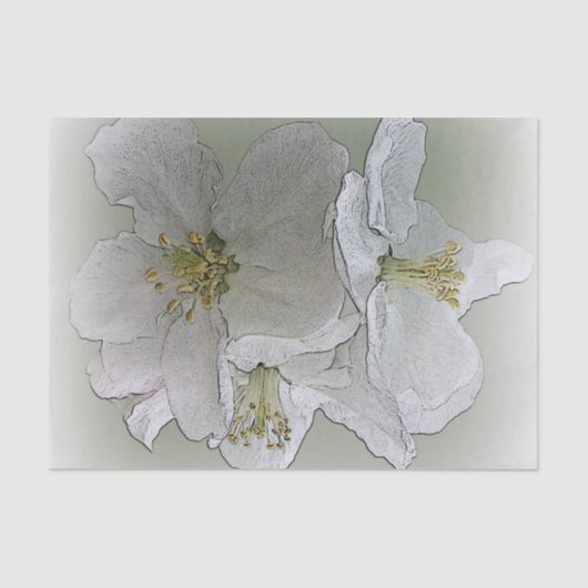 drie witte bloemen tissuepapier (Voorkant)