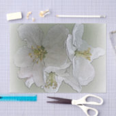 drie witte bloemen tissuepapier (Craft)