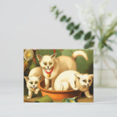 Drie witte Kittens Briefkaart (Staand voorkant)