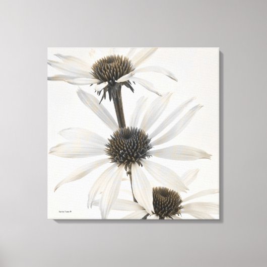 Drie witte kloonbloemen canvas afdruk (Voorkant)