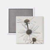 Drie witte kloonbloemen magneet (Voorkant / Achterkant)