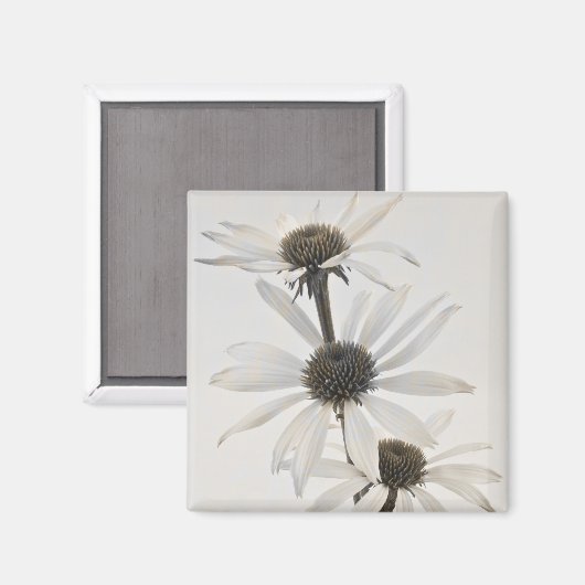 Drie witte kloonbloemen magneet (Voorkant / Achterkant)