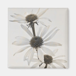 Drie witte kloonbloemen magneet