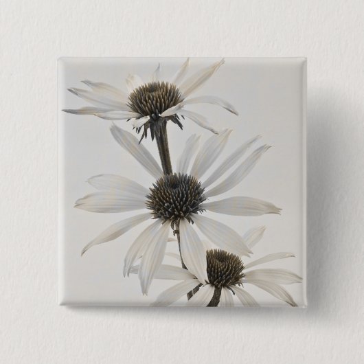 Drie witte kloonbloemen vierkante button 5,1 cm (Voorkant)