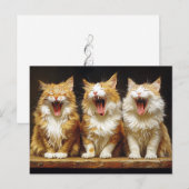 Drie Witte Oranje Grappige Katten Die Zingen Briefkaart (Voorkant / Achterkant)