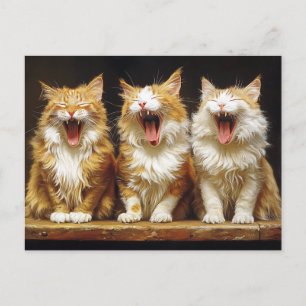 Drie Witte Oranje Grappige Katten Die Zingen Briefkaart