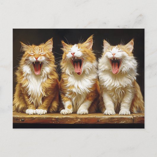 Drie Witte Oranje Grappige Katten Die Zingen Briefkaart (Voorkant)
