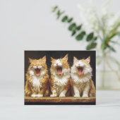 Drie Witte Oranje Grappige Katten Die Zingen Briefkaart (Staand voorkant)