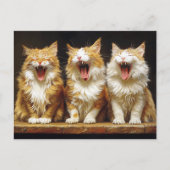 Drie witte Oranje grappige katten zingen Briefkaart (Voorkant)