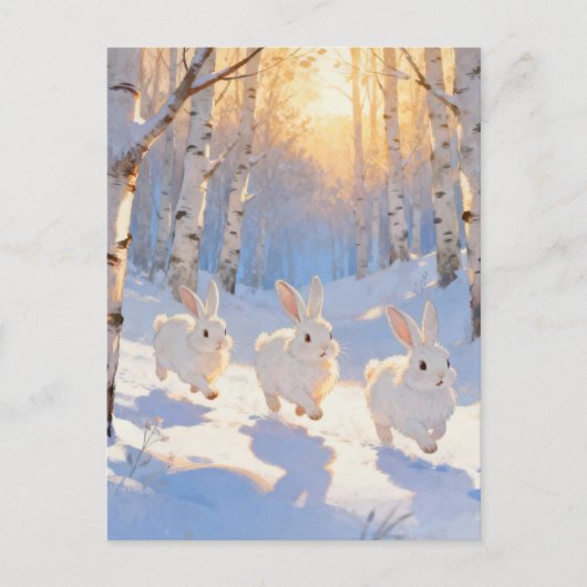 Drie Witte Winterkonijnen Briefkaart (Voorkant)