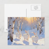Drie witte winterkonijnen briefkaart (Voorkant / Achterkant)