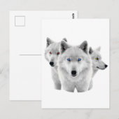 Drie witte wolven briefkaart (Voorkant / Achterkant)